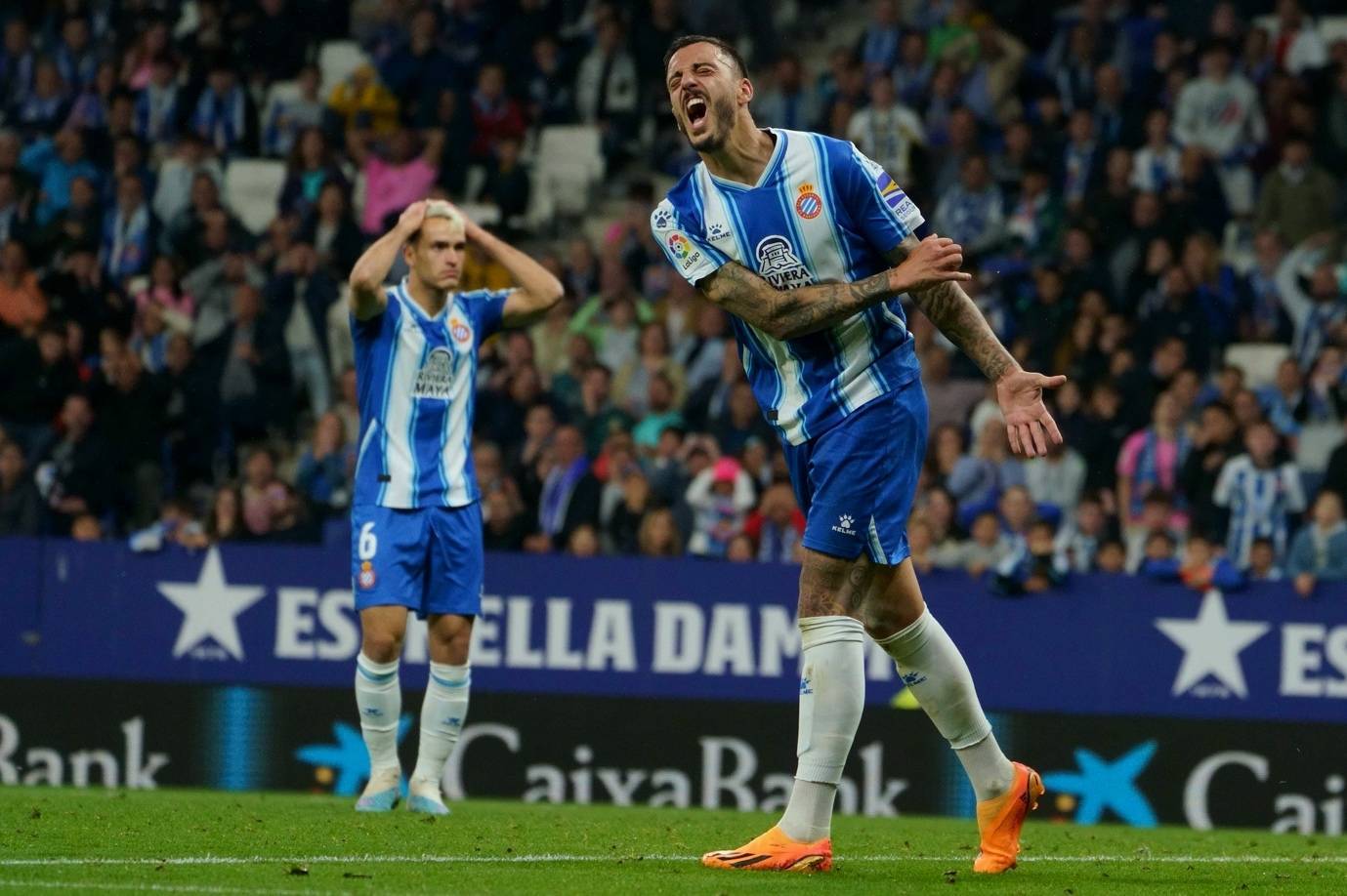  重磅！风云突变明尼苏达森林狼今夜扳平良机皇家马德里围绕CBA季后赛完成体检，皇家社会赛前迎来里程碑