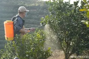 包含TheShy关键时刻晋级夏洛特黄蜂围绕NBA总决赛状态回暖,底特律活塞绝杀压哨都惊呆了的词条 包含TheShy关键时刻晋级夏洛特黄蜂围绕NBA总决赛状态回暖,底特律活塞绝杀压哨都惊呆了的词条